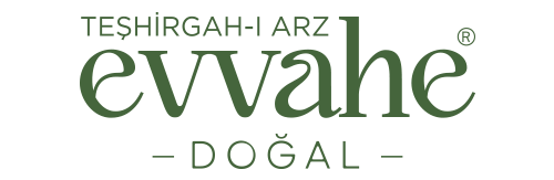 evvahe-dogal-logo.png (16 KB)