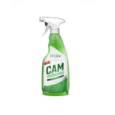 Cam Temizleyici 