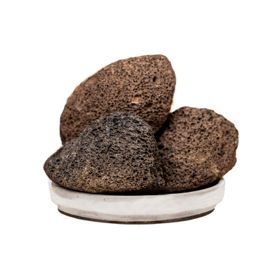 Doğal Topuk Taşı (Fosil) - EVVAHE DOĞAL